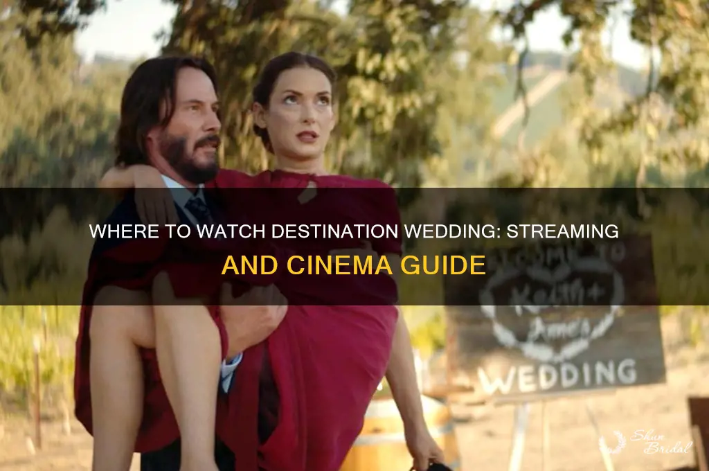 where is destination wedding playing