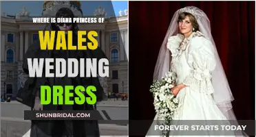 Princess Diana's Wedding Dress: Its Current Location