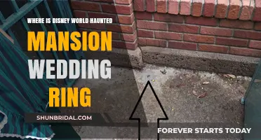 Haunted Mansion Wedding Ring: A Disney World Mystery