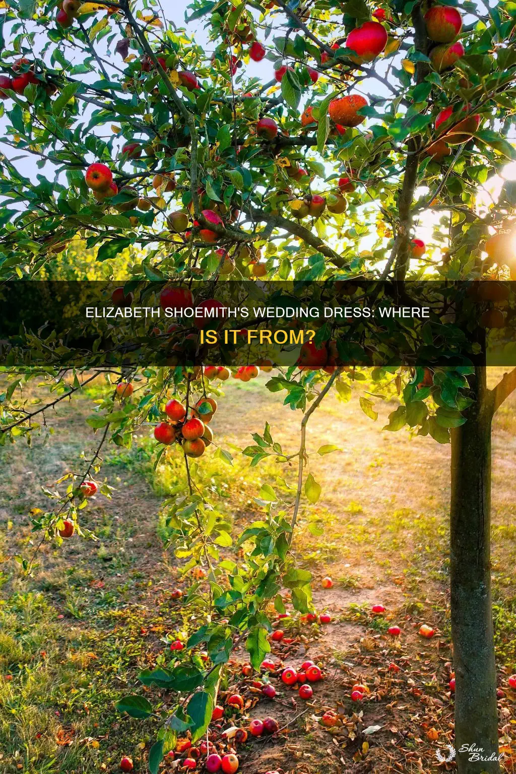 where is elizabeth shoesmith