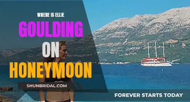 Ellie Goulding's Honeymoon: A Tropical Paradise Getaway