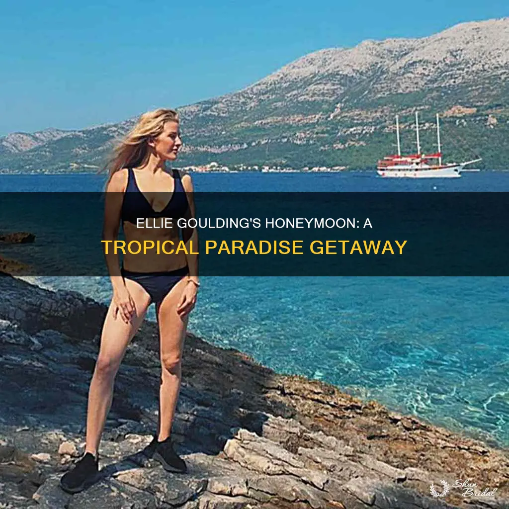 where is ellie goulding on honeymoon