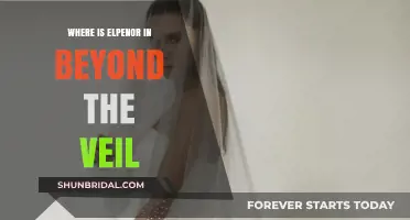 Elpenor's Fate: Unraveling His Role in Beyond the Veil's Narrative