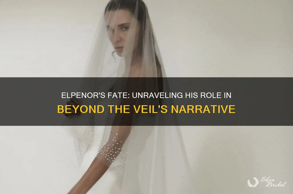 where is elpenor in beyond the veil