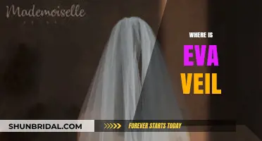 Unveiling the Mystery: Where is Eva Veil Now?