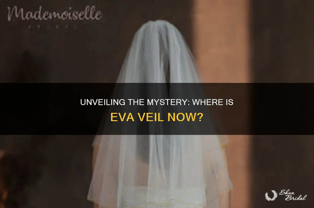 where is eva veil