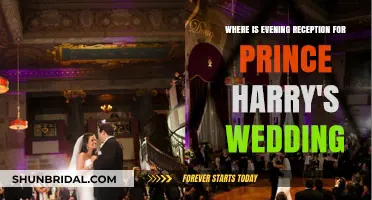 Evening Reception for Harry's Wedding: The Venue Mystery
