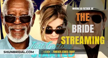 Where to Watch Father of the Bride Online: Streaming Options