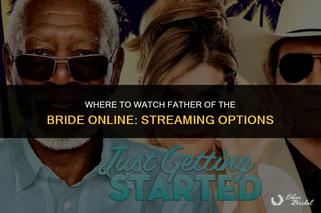 where is father of the bride streaming