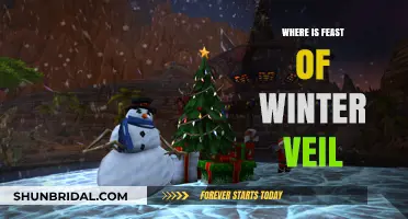 Discover the Enchanting Location of Feast of Winter Veil in Azeroth