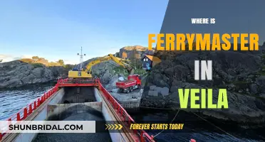 Finding the Ferrymaster in Veila: A Comprehensive Location Guide