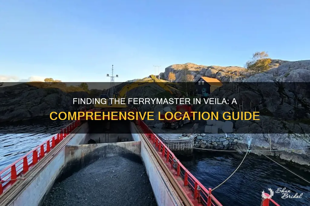 where is ferrymaster in veila