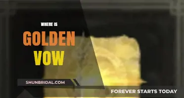 Unveiling the Mystery: Where to Find Golden Vow Today
