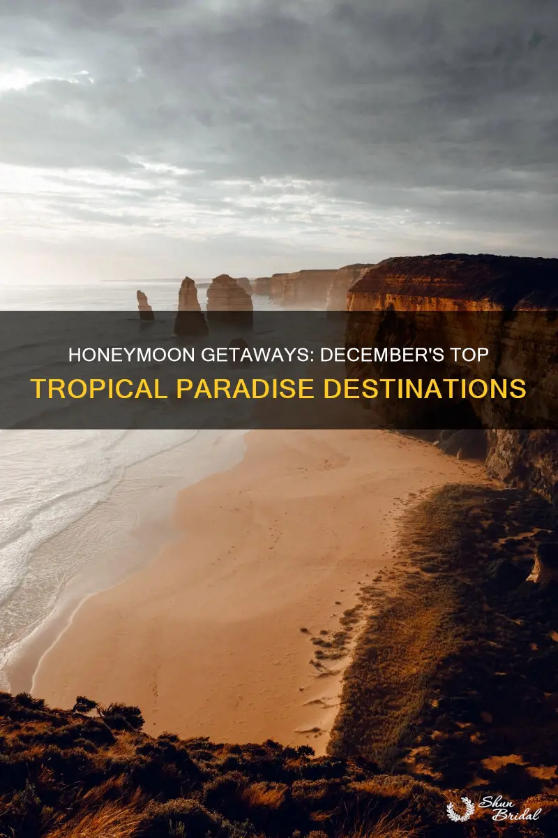 where is good to go on honeymoon in december