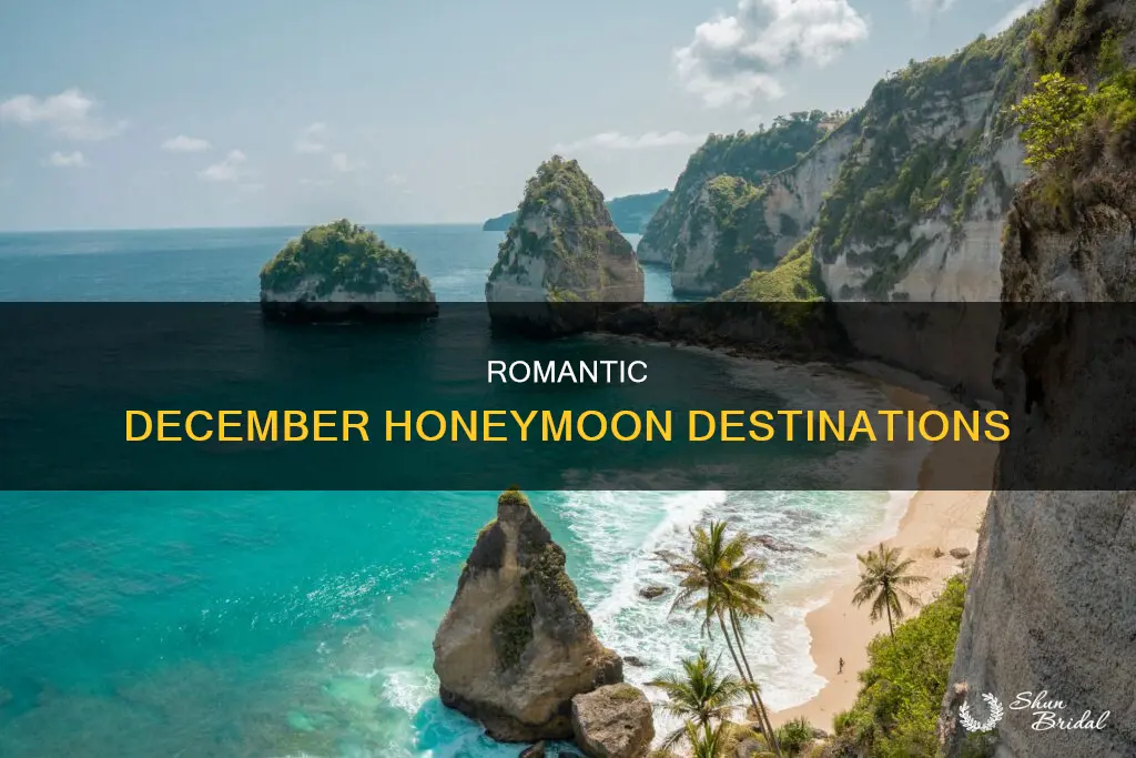 where is good to go on honeymoon in december