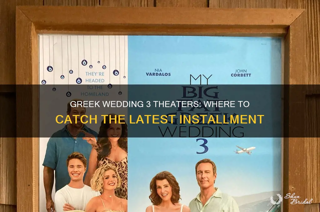 where is greek wedding 3 playing