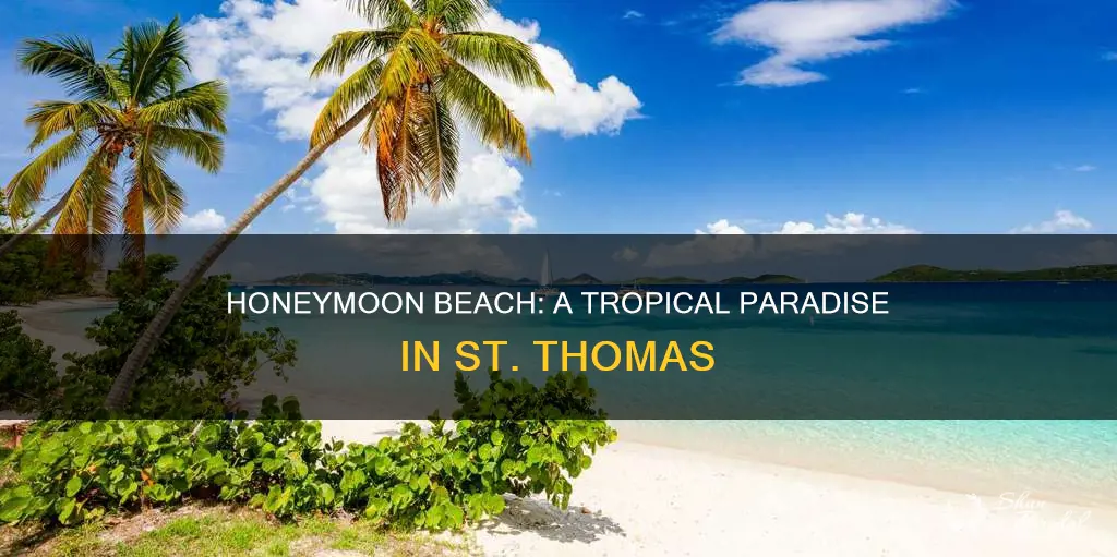 where is honeymoon beach in st thomas