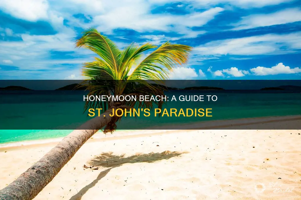 where is honeymoon beach st john