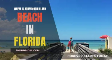 Honeymoon Island Beach: A Florida Paradise