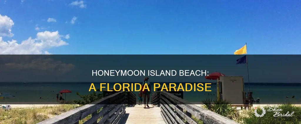 where is honeymoon island beach in Florida