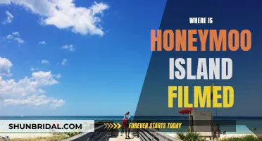 Honeymoon Island's Paradise: Unveiling the Filming Location