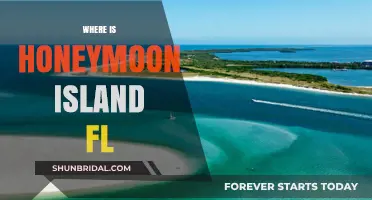 Discover Honeymoon Island, FL: Location, Beaches, and Romantic Getaways