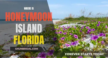 Honeymoon Island: A Hidden Gem in Florida's Nature