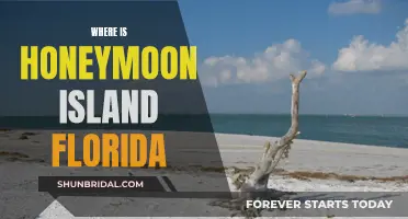 Honeymoon Island Florida: A Tropical Paradise Found