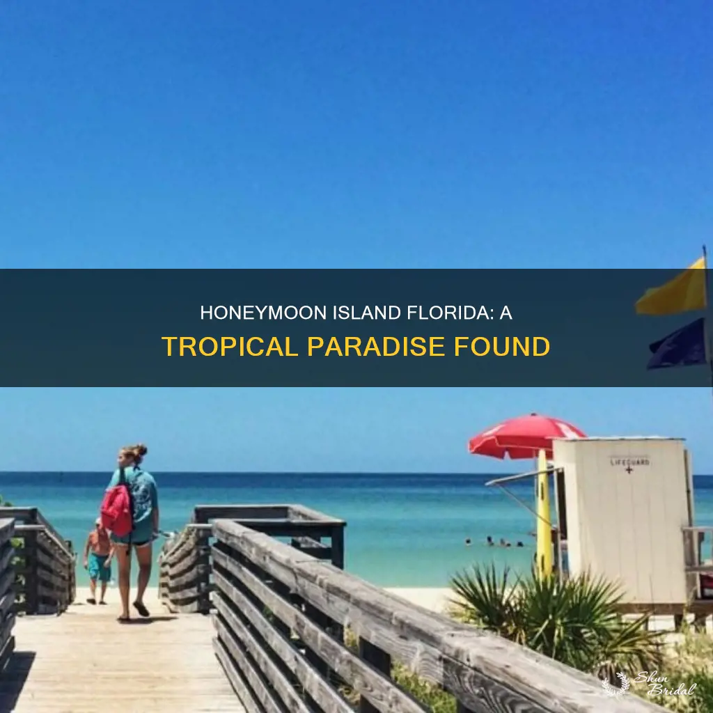 where is honeymoon island florida