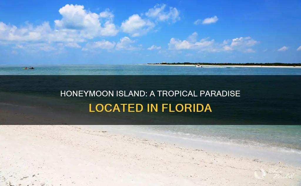 where is honeymoon island located