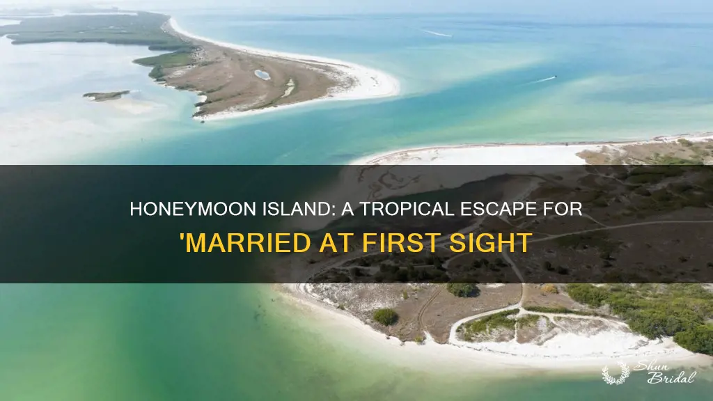 where is honeymoon island married at first sight