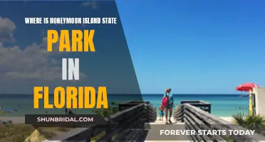 Honeymoon Island State Park: Florida's Idyllic Escape