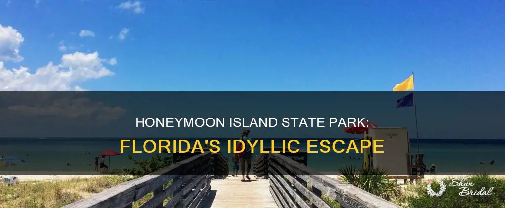 where is honeymoon island state park in Florida
