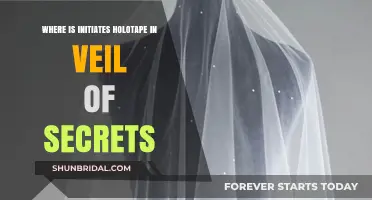 Veil of Secrets: Locating the Initiates Holotape Guide