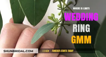 Link's Wedding Ring: Where Is It?