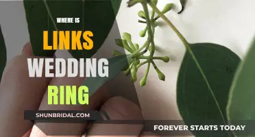 The Mystery of Link's Wedding Ring: Where Is It?