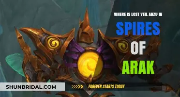 Finding Lost Veil Anzu: A Spires of Arak Location Guide