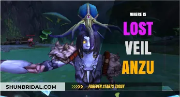 Unveiling the Mystery: Where to Find Lost Veil Anzu in the Game
