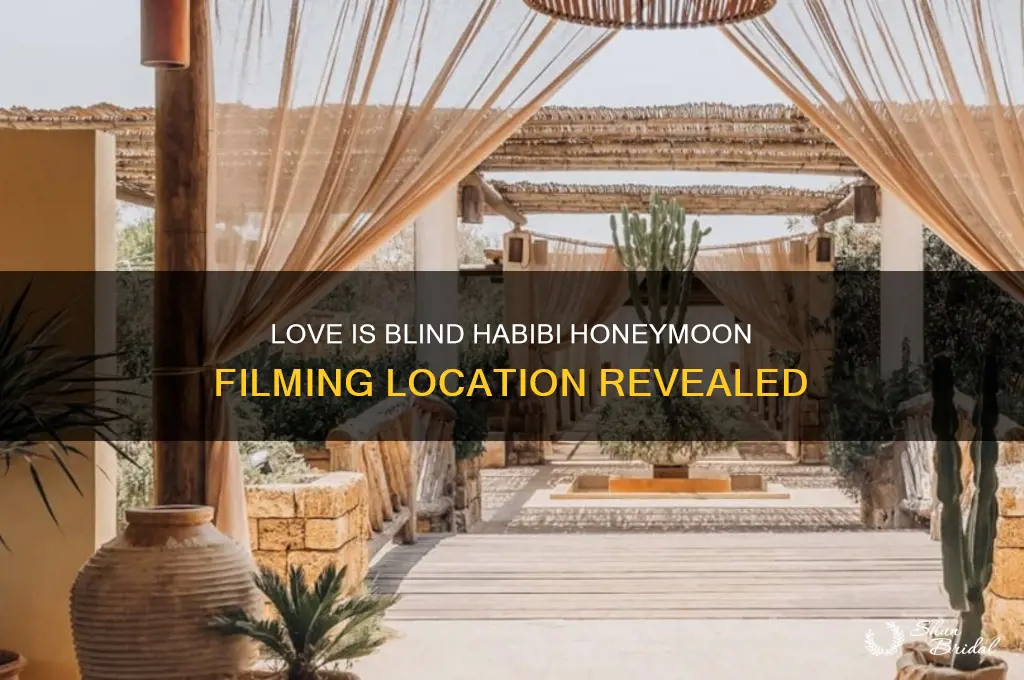 where is love is blind habibi honeymoon filmed