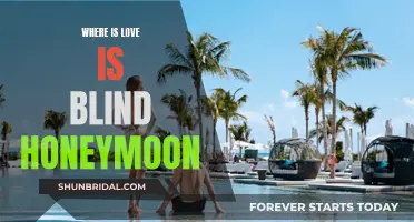 Love is Blind: Honeymoon in the Spotlight