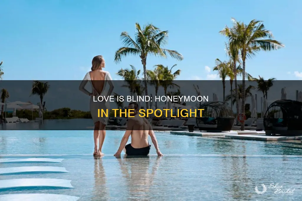 where is love is blind honeymoon