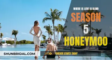 Love is Blind: Honeymoon Destinations for Season 5