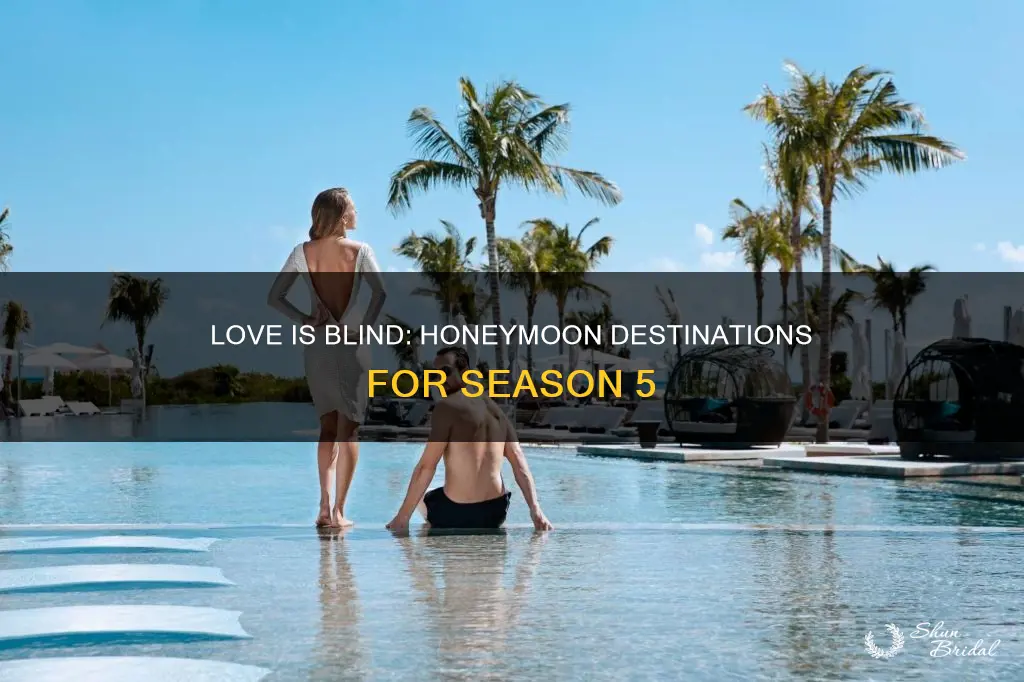 where is love is blind season 5 honeymoon