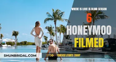 Love Is Blind Season 6: Honeymoons and Hidden Locations