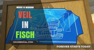 Discovering Mariana Veil's Location in Fisch: A Comprehensive Guide