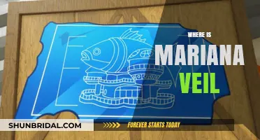 Unveiling the Mystery: Where is Mariana Veil Located?