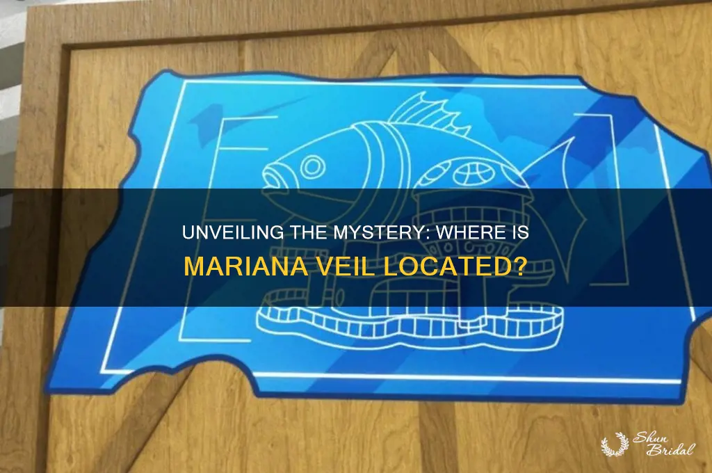 where is mariana veil