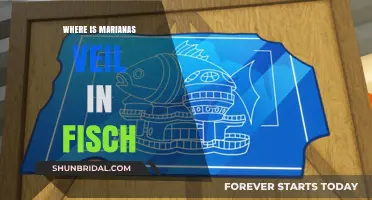 Discovering Marianas Veil's Location in Fisch: A Comprehensive Guide