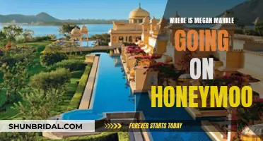 Royal Honeymoon: Megan and Harry's Vacation Plans