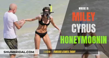 Miley Cyrus's Honeymoon Destination: Where Did She Go?